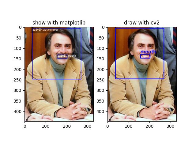../_images/fig_kwcoco_coco_dataset_CocoDataset_002.jpeg